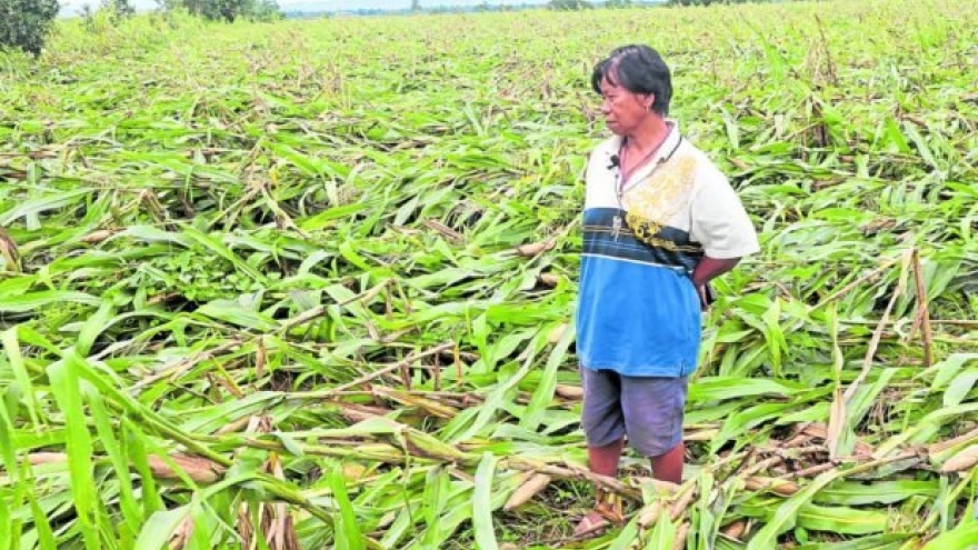 Philippines khẩn trương sơ tán người dân, chuẩn bị đón siêu bão Noru